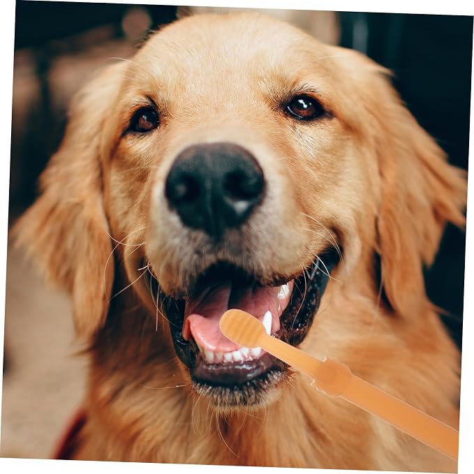 Pet Toothbrush for Dogs and Cats Soft Silicone Head for Gentle Cleaning Lightweight Portable Oral Care Tools Includes Brushes for Pets