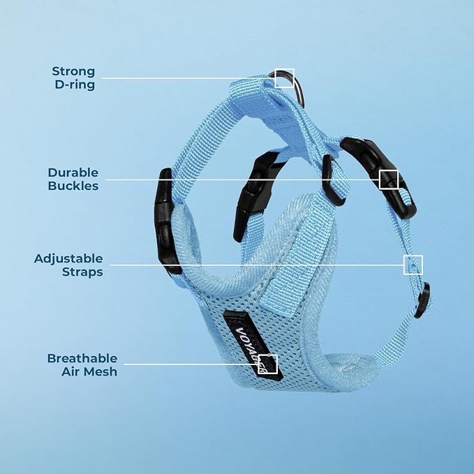 Voyager Step-in Lock Dog Harness - Baby Blue, Medium | 17 - 21" in Chest, Adjustable, Breathable Air Mesh, Lightweight for Daily Walks, Strong Clips, Heavy Duty D-Ring