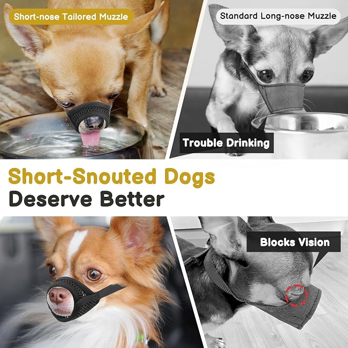 Soft Mesh Muzzle for Small Medium Dogs Anti-Biting | Focus on Short Snout Dogs, Opening Front, Allows to Drink, Grooming Vet Visits Use, Fits Jack Russell Terrier Dachshund | M