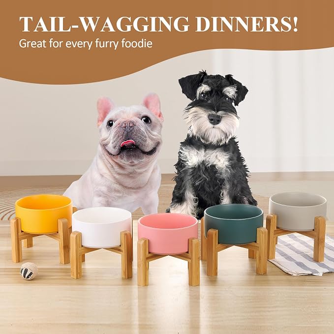 LIONWEI LIONWELI Ceramic Raised Dog Bowls, Medium - Set of 2 - Non Slip Wood Stand - Anti Vomiting - 850 ml - White