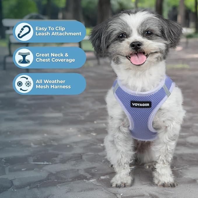 Voyager Step-in Air Dog Vest Harness - Lavender, X-Large | 20.5 - 23" in Chest, Reflective Bands, All Weather Breathable Air Mesh, Cats Compatible, Lightweight, Fast Drying