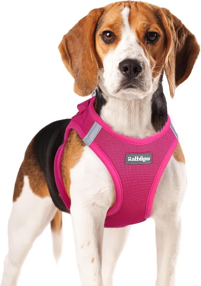 rabbitgoo Step-in Small Dog Harness, Puppy Vest for Small Medium Sized Pet | Easy Put on and off, Lightweight, Soft, Breathable Quick-Dry Air Mesh for Comfortable Secure Walking, Rose Red XL