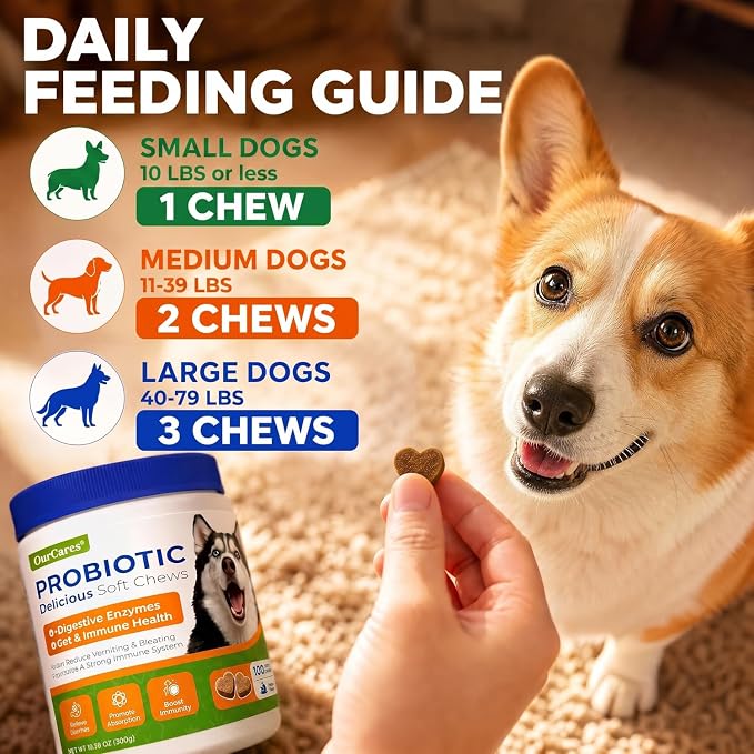 Probiotics for Dogs, Digestive Chews, Pumpkin & Enzymes, 100 Count