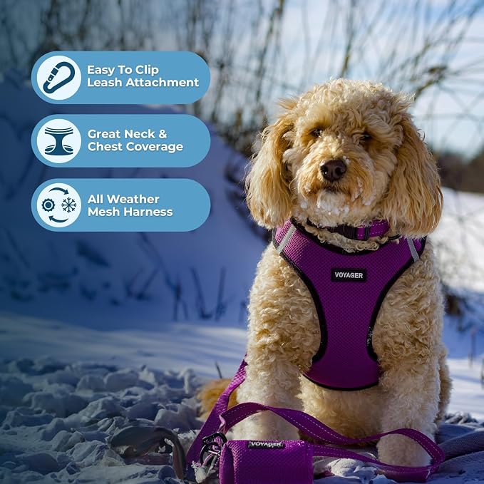 Best Pet Supplies Voyager Step-in Air All Weather Mesh Harness and Reflective Dog 5ft Leash Combo with Neoprene Handle, for Small, Medium and Large Breed Puppies - Purple/Black Trim, X-Large