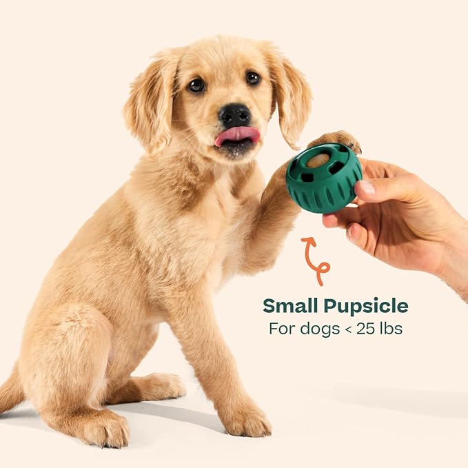 WOOF Pupsicle Interactive Dog Ball Toy for Dogs Small 10-25 lbs - Green | Long-lasting enrichment toy for small dogs, easy-fill design, low-mess play, made of natural rubber, easy to clean