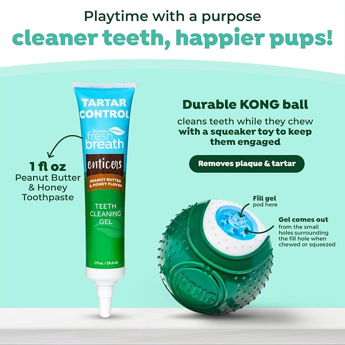 TropiClean Fresh Breath - Kong Dental Ball for Medium Dogs - Dog Teeth Cleaning Kit - Removes Plaque - Peanut Butter & Honey Dog Toothpaste, 1oz