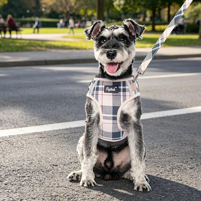 PUPTECK Dog Harness and Leash Set, No Pull Adjustable Pet Small Dog Harness, Reflective Soft Mesh Pet Vest, for Small Medium Dogs Walking, Beige Plaid, XS