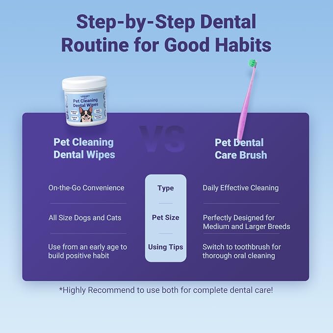 Dog Toothbrushes for Medium and Large Dogs&Cats, 2pcs, Ultra Soft Bristle, Long Durable Handle, Pet Tooth Brush and Dental Care Kit, Super Thin Bristle Gentle on Gum for Sensitive Pets, Red Violet