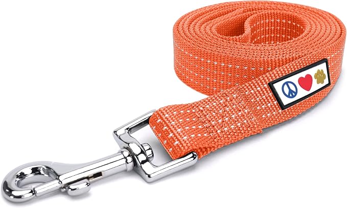 Pawtitas Orange Dog Leash 6 ft XS/S Reflective Durable Lightweight Dog Lead for Small Dogs and Puppies