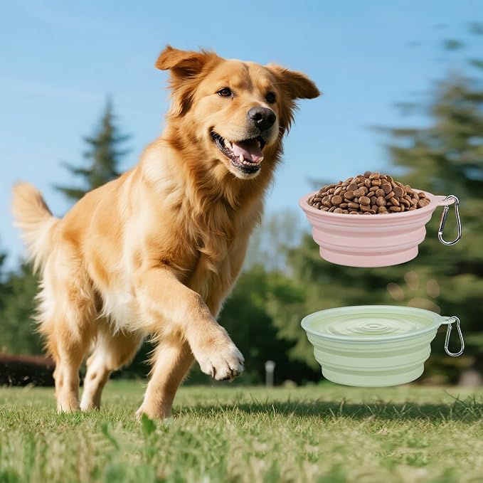 2-Pack Collapsible Dog Bowls for Large Breed, 22oz