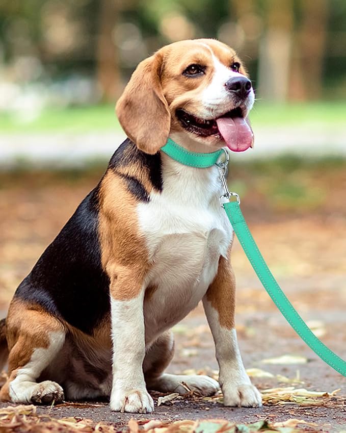 Taglory Reflective Dog Leash for Medium Large Dogs, 1in x 6ft, Turquoise | Ideal for Night Walking, Strong for Sudden Pulls, Lightweight & Gentle on the Neck, Soft Padded Handle