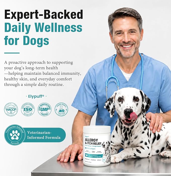 Dog Allergy Chews 260ct - Value Size Dog Allergy and Itching Skin Relief Anti Itch Aller Immune Bites for Dogs Licking Paws Treatment - Probiotics Vitamins for Itchy Skin, Ears & Yeast, Chicken Flavor