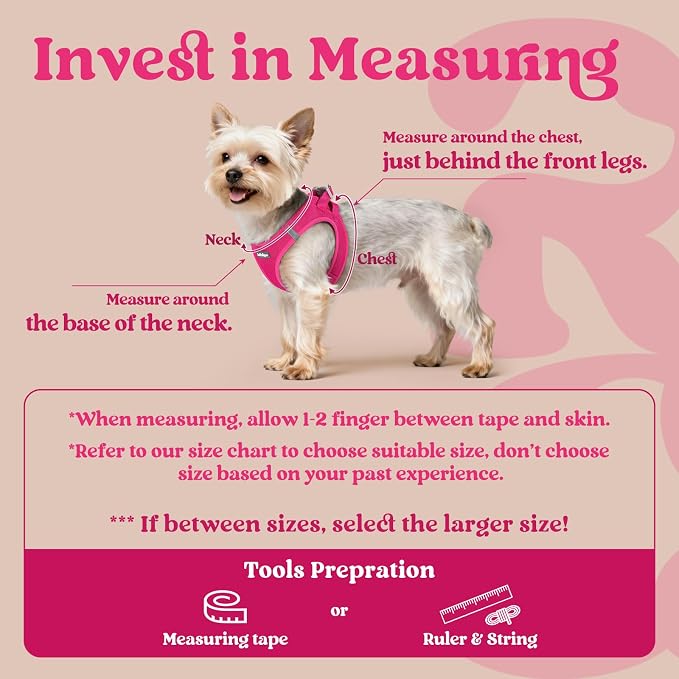 rabbitgoo Step-in Small Dog Harness, Puppy Vest for Small Medium Sized Pet | Easy Put on and off, Lightweight, Soft, Breathable Quick-Dry Air Mesh for Comfortable Secure Walking, Rose Red XL