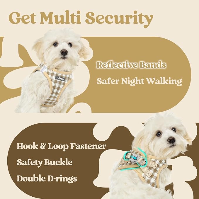 rabbitgoo Step-in Small Dog Harness, Puppy Vest for Small Sized Pet | Easy Put on and off, Lightweight, Soft, Breathable Quick-Dry Air Mesh for Comfortable Secure Walking, Beige Check S