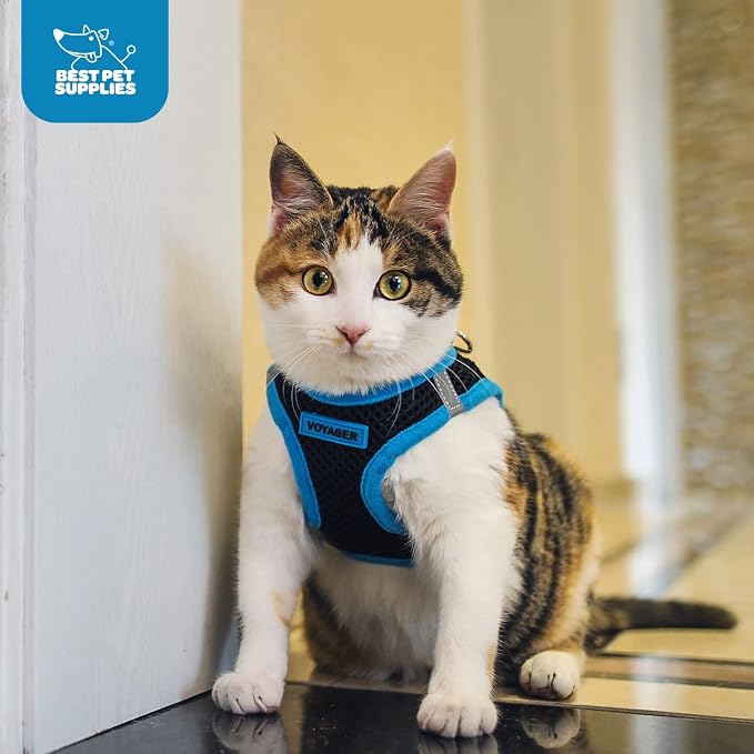 Voyager Step-in Air Dog Vest Harness - Black/Blue Trim, X-Large | 20.5 - 23" in Chest, Reflective Bands, All Weather Breathable Air Mesh, Cats Compatible, Lightweight, Fast Drying