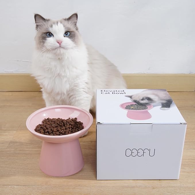 CEEFU Extra Wide Elevated Ceramic Cat Bowl, 6.2" Shallow Dish for Whisker Fatigue Relief, 5" Height for Easy Feeding, Durable Raised Cat Food Bowls, Pack of 2, Pink