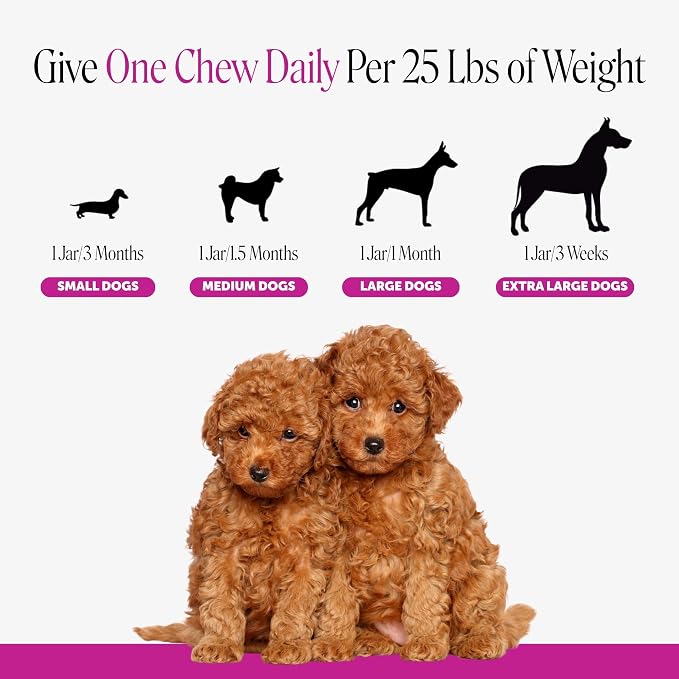 Puppy Vitamins and Supplements Multivitamin Chews - DHA Omega 3 Fish Oil + Probiotics for Growth, Brain Development, Immune Support, Sensitive Stomach, Heart Health (Hickory Bacon, 90 Ct)