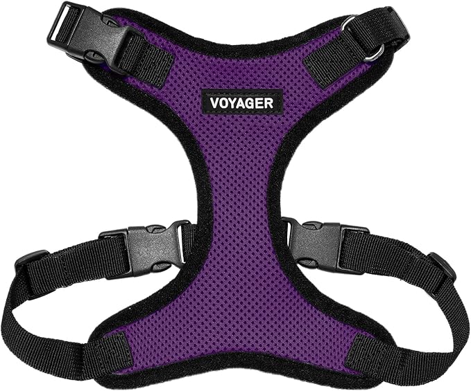Voyager Step-in Lock Dog Harness - Purple/Black Trim, Medium | 17 - 21" in Chest, Adjustable, Breathable Air Mesh, Lightweight for Daily Walks, Strong Clips, Heavy Duty D-Ring