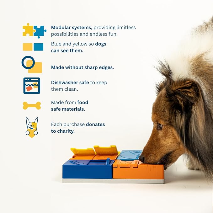 Rainbow Set Pawzler - Modular Dog Puzzle | Pawzler Interactive Dog Treat Puzzles for Canine Enrichment