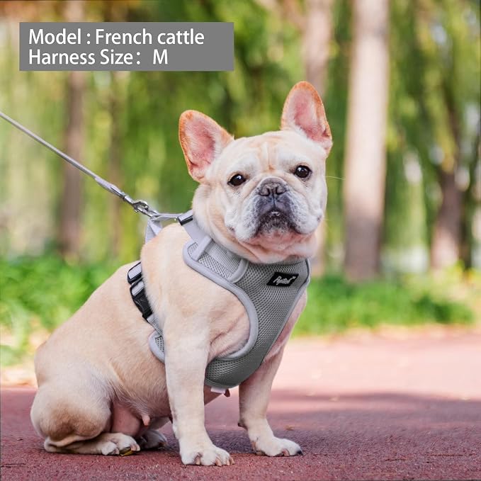 PUPTECK Small Dog Harness and Leash Set, No Pull Adjustable Puppy Cat Harness, Reflective Soft Mesh Pet Vest Small Sized, Grey, XS