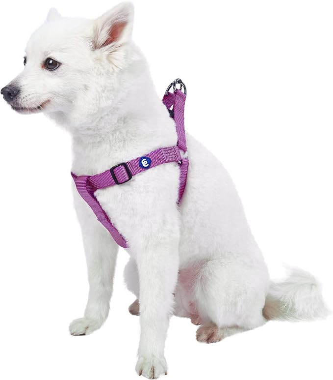 Blueberry Pet Essentials Step-in Dog Harness, Large Size | Adjustable Violet Vest | Classic Solid Nylon for Boy & Girl Dogs, Chest Girth 26"-39"