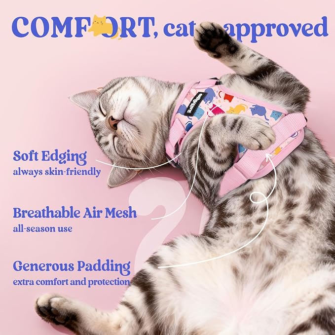 rabbitgoo Cat Harness and Leash Set, Escape Proof Vest, Purrty Pink | Soft Breathable Mesh, Easy Adjustable Fit, Snap Buckles, Sturdy Clip, Reflective Strips, for Small & Average Cats Walks, Xs