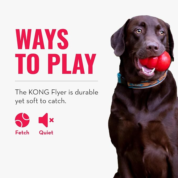 KONG Flyer, Natural Rubber Flying Disc, for Small Dogs (Pack of 2) | Durable KONG Natural Rubber Flying Disc for Fetch, a Safer Disc for Healthy Outdoor Activity & Active Play