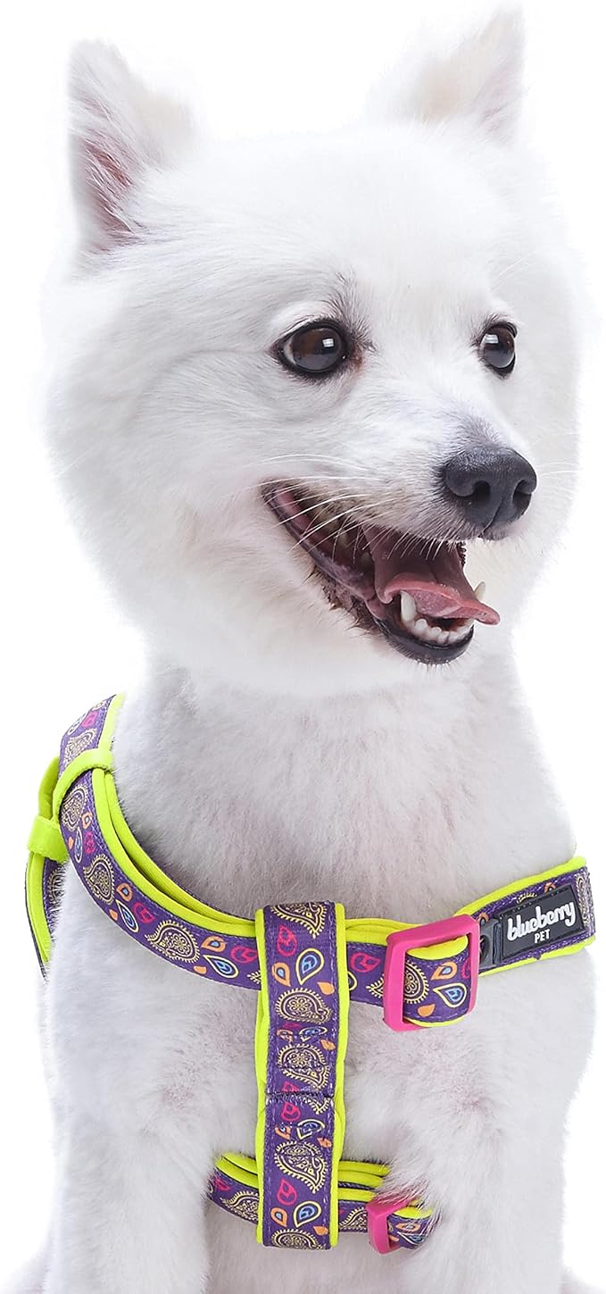 Blueberry Pet 5 Colors Soft & Comfy Step-in Paisley Flower Print Dog Harness, Chest Girth 20" - 26", Dark Orchid, Medium, Adjustable Harnesses for Dogs