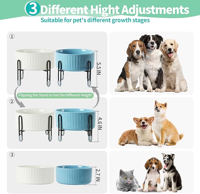 32 OZ Raised Dog Cat Bowls with Elevated Metal Stand, 6.5 Inch Ceramic Round Pet Food and Water Feeder Bowl Dish for Cats & Dogs, White & Blue, Set of 2