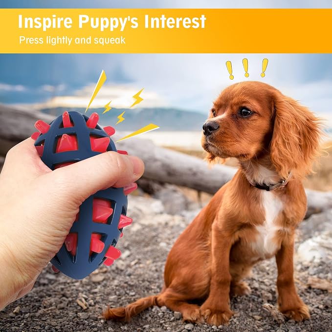 Dog Spiky Toy Ball with Squeaker, Floating, 2-Pack Kit