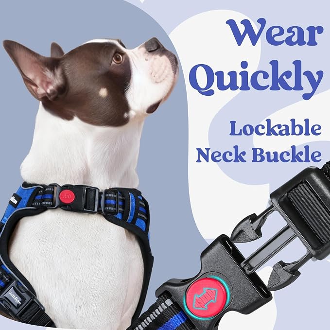 rabbitgoo Dog Harness Medium Sized, Updated Easy On & Off with 3 Buckles | No Pull No Choke, Walking with 2 Clips and Handle, Adjustable Soft Reflective, Blue, Medium