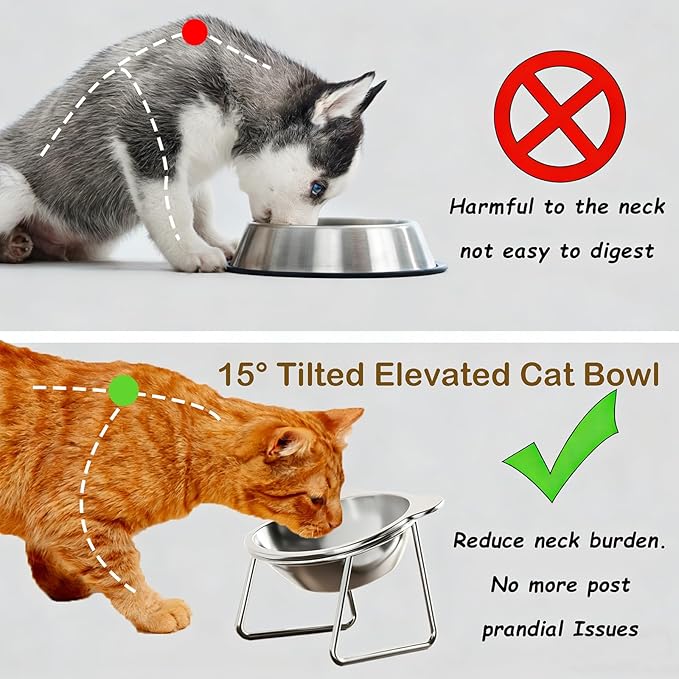 Stainless Steel Raised Cat Food Bowl for 2 Bowls, 5.9-Inch Replaceable Cat Bowl, Pack of 2 Indoor Cat Dishes for Food and Water (Dishwasher Safe)