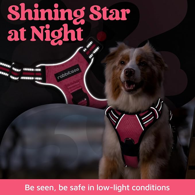 rabbitgoo Dog Harness Medium Sized, No Pull 3 Buckles Easy On & Off | Soft Padded, Walking with Control Handle, Adjustable and Reflective, Pink, Medium