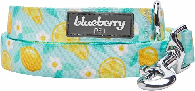 Blueberry Pet Zesty Fruit Collection Refreshing Lemon Dog Leash, Medium Size, 3/4” Width x 5 ft Length, Durable Stylish Pet Leash