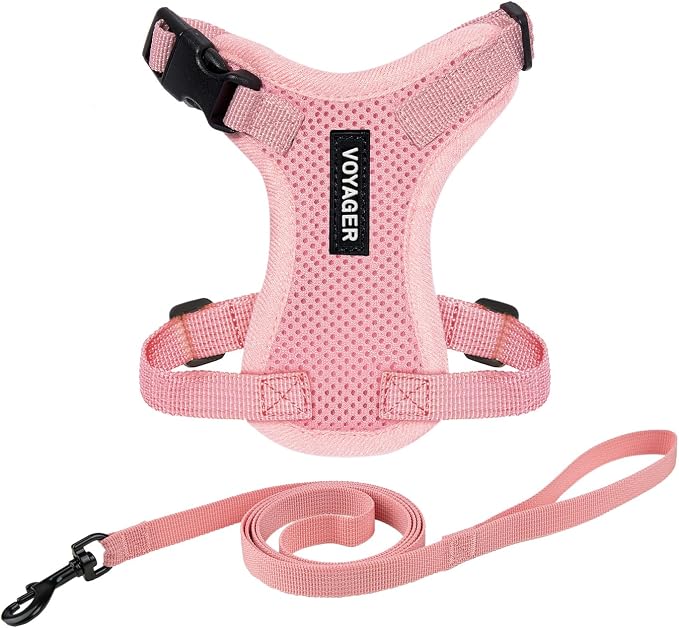 Voyager Escape-Proof Step-in Lock Cat Harness & 5ft Neoprene-Handle Leash Set All-Weather Mesh with Reflective Stitching for Small to Large Cats by Best Pet Supplies, Pink, XXS