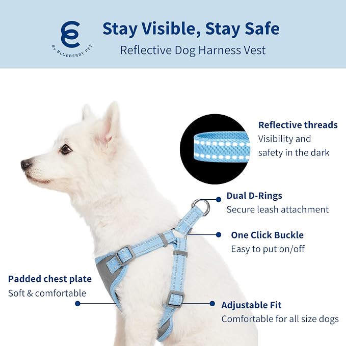 Blueberry Pet Matching Reflective Harness and Leash Set | Adjustable Pastel Vest with Lead for Dogs – Great Value Gift Set | Adjustable Baby Blue Vest for Small Breeds