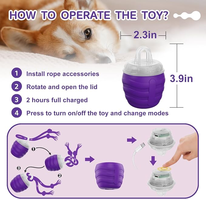 Interactive Dog Toy, [Newly Upgraded] Motion Activated Rolling Ball for Small Dogs, Automatic Moving Dogs Ball for Boredom, USB Rechargeable(Purple)