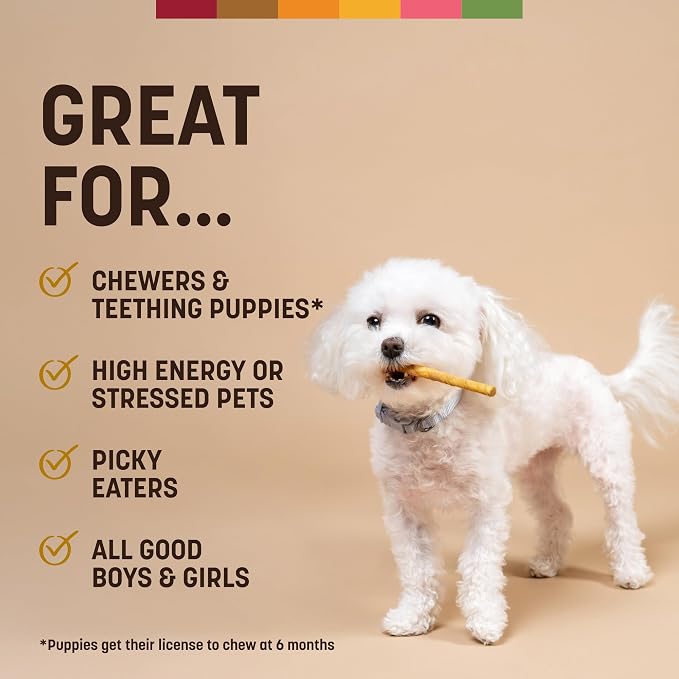 Earth Animal No Hide Stix - Long Lasting Rawhide Free Small Dog Chews Sticks, Peanut Butter - 40 Count Extra Value Pack