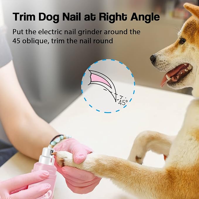 Casfuy Professional 2-Speed Dog Nail Grinder