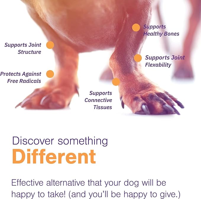 MOVOFLEX Joint Support Supplement for Dogs - Hip and Joint Support - Dog Joint Supplement - Hip and Joint Supplement Dogs - 60 Soft Chews for Small Dogs (By Virbac) (Pack of 2)