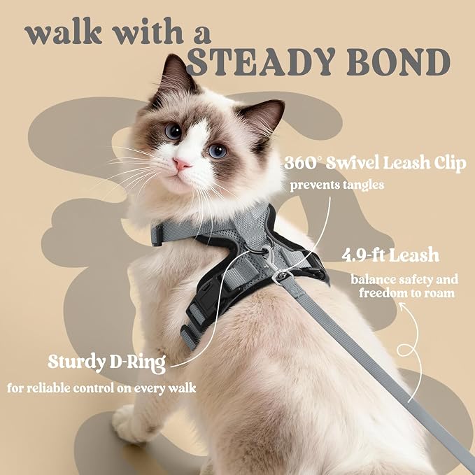 rabbitgoo Cat Harness and Leash Set, Escape Proof Vest, Grey | Soft Breathable Mesh, Easy Adjustable Fit, Snap Buckles, Sturdy Clip, Reflective Strips, for Small & Average Cats Walks, Xs