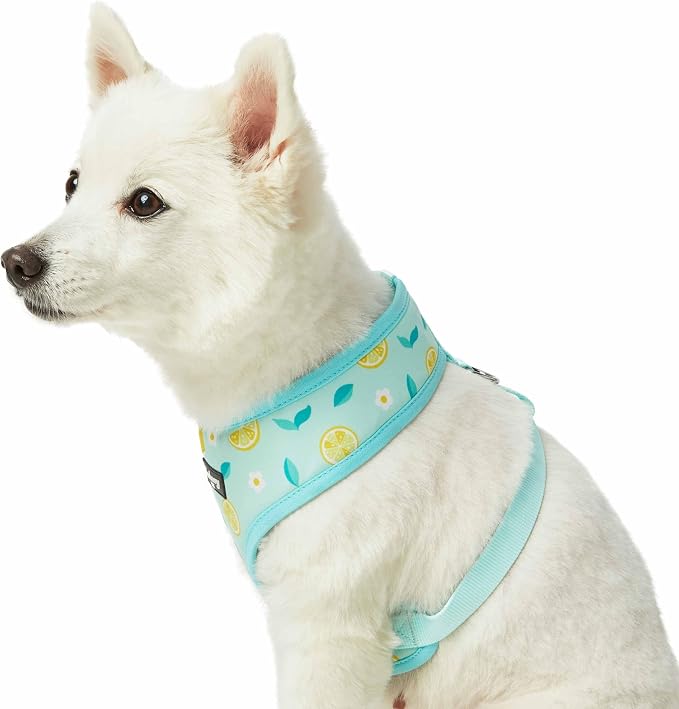 Blueberry Pet Zesty Fruit Dog Harness Vest, Adjustable Medium Size, Neck 18 3/4”, Chest 19 1/2”-26”, Refreshing Lemon Print, Summer Dog Harness