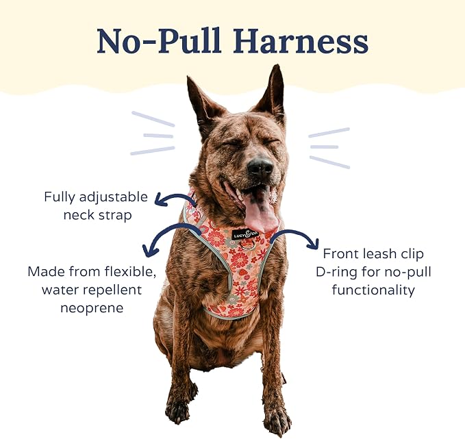 Lucy & Co. Cute No-Pull Y2K Baby Harness - Stop Pulling & Walk Easy - Harness Available in XS-XL for Small, Medium, and Large Dogs - Y2K Baby (X-Small)