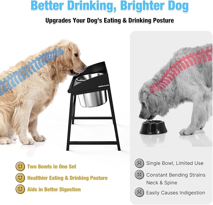 Elevated Dog Bowls Large Breed, 15" Tall No Spill Tilted Water Bowl for Dogs with Stand, Full Metal & Stainless Steel Raised Dog Bowl Design for Indoor and Outdoor Use