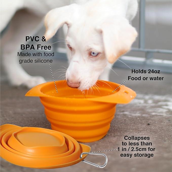 Kurgo Collapsible Travel Dog Bowl, Red
