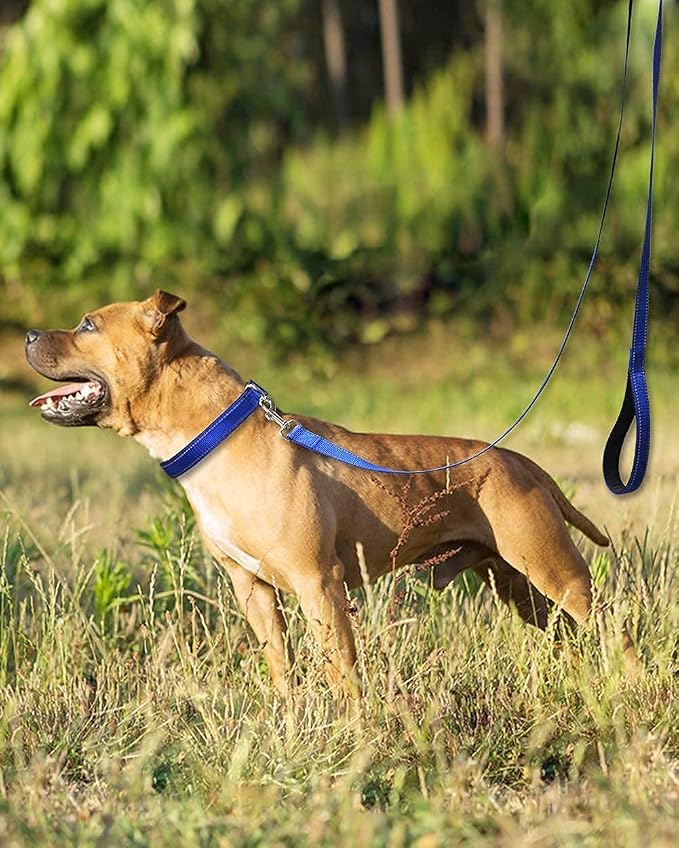 Joytale 6FT×1'' Dog Leash and Dog Collar (16-24"), Reflective Soft Neoprene Padded Pet Collars and Leashes for Large Dog, Navy Blue