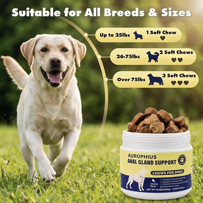 Anal Gland Support Soft Chews for Dogs, Natural Fiber Supplement with Pumpkin, Psyllium Husk, Probiotics & Enzymes, Reduces Scooting, Supports Gut, Digestive & Bowel Health, 120 Ct