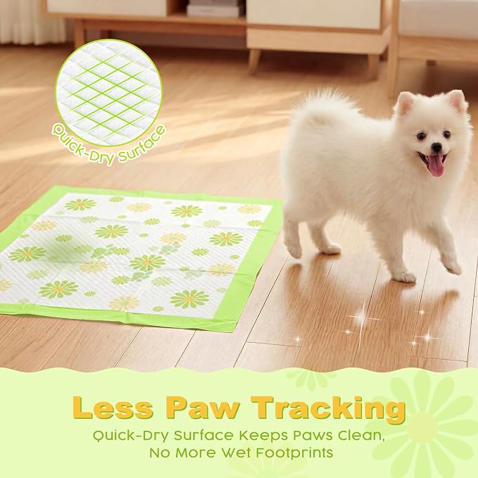 MIZOK Puppy Pads 22"x22", Dog Pee Pads 6-Layer Super Absorbent & Leak-Proof, Daisy Pattern, 4-Corner Adhesive Tabs, Wee Wee Pads for Puppies & Small Dog Breeds, Regular Size (30 Counts)