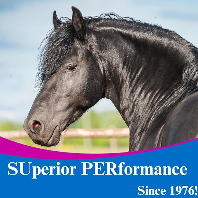 SU-PER Glucosamine C.S. Horse Joint Supplement - Supports Healthy Joints and Inflammatory Response in Horses - 1 Gallon, Liquid