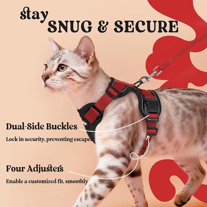 rabbitgoo Cat Harness and Leash Set, Escape Proof Vest, Black & Red | Soft Breathable Mesh, Easy Adjustable Fit, Snap Buckles, Sturdy Clip, Reflective Strips, for Medium to Large Cats Walks, M
